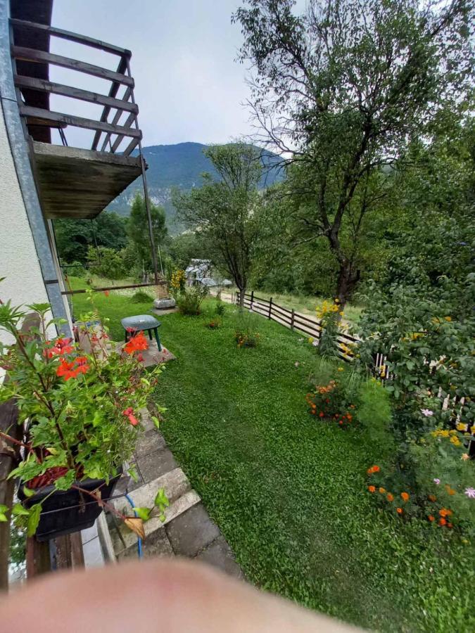 Apartment Sijakovic Mokra Gora Luaran gambar