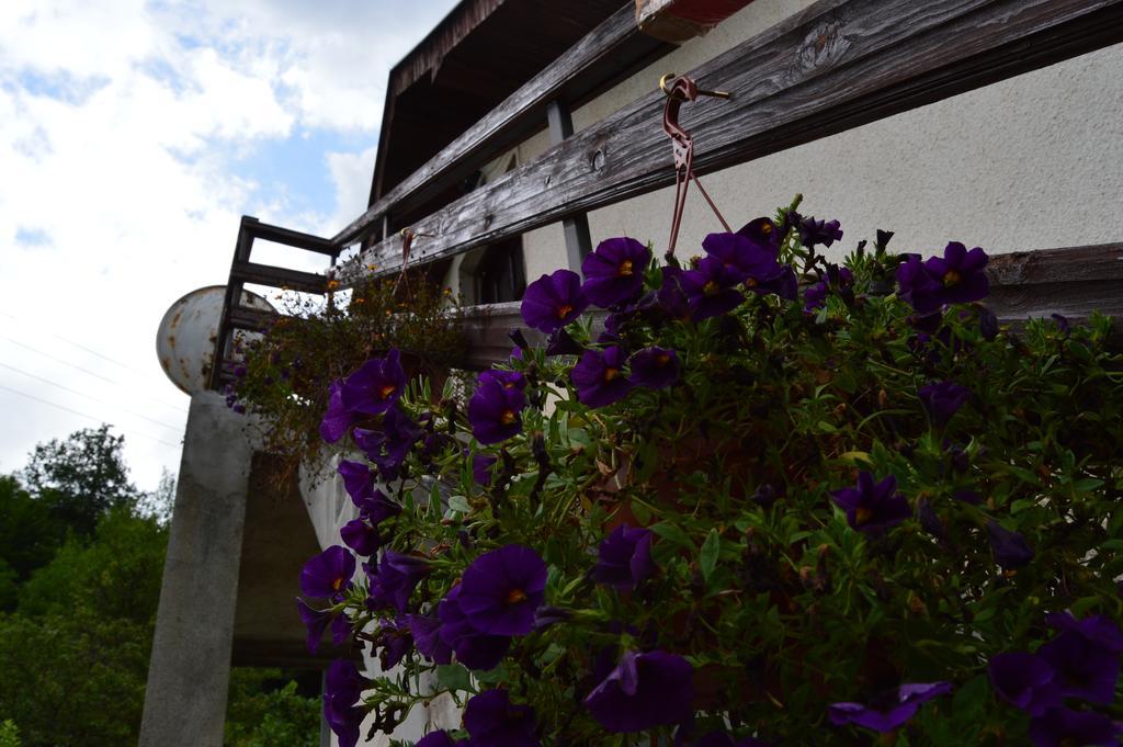 Apartment Sijakovic Mokra Gora Luaran gambar