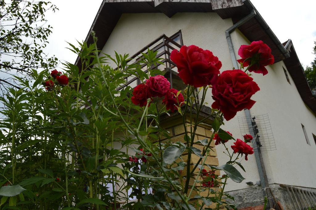 Apartment Sijakovic Mokra Gora Luaran gambar